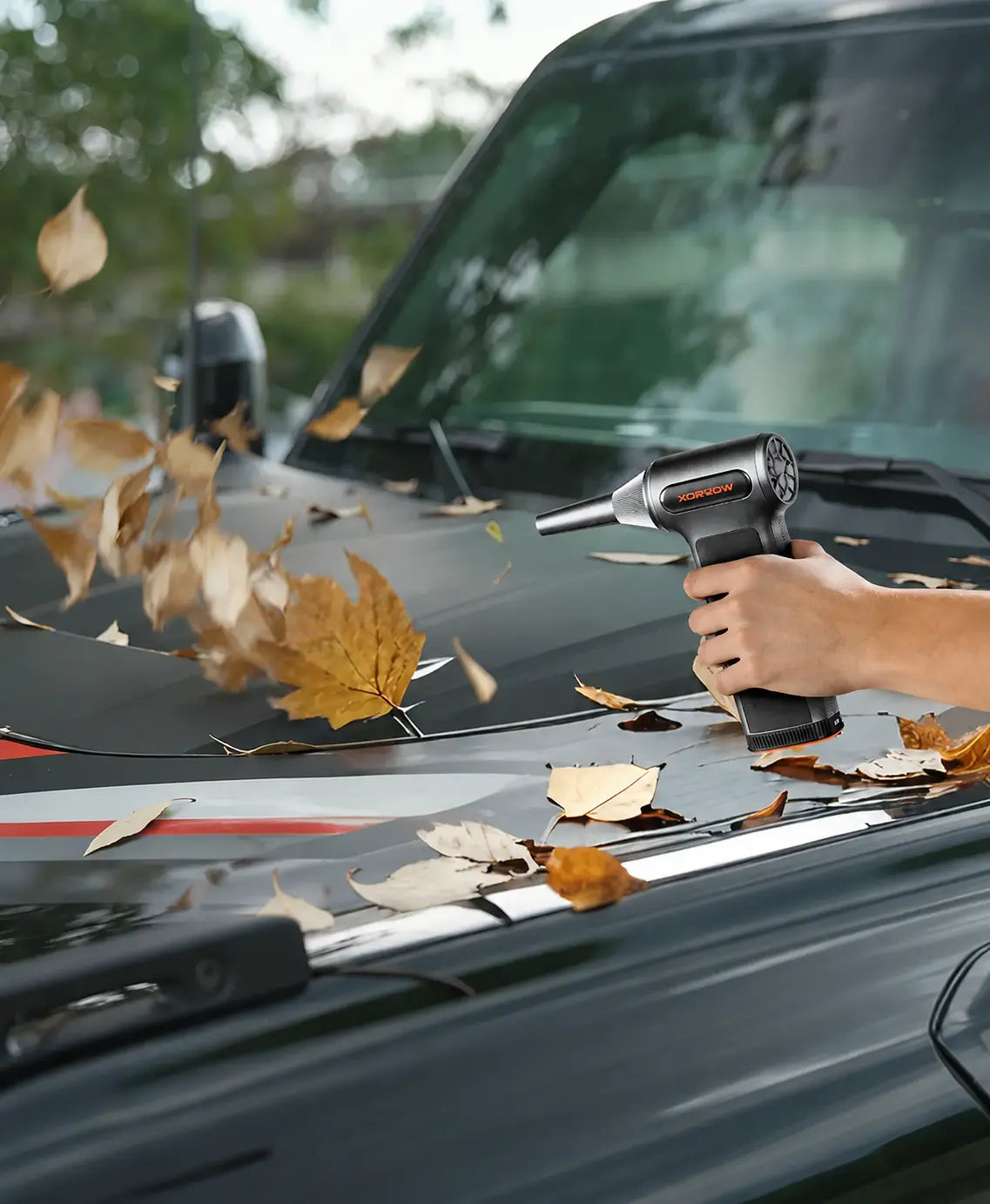 Leaf Cleanup